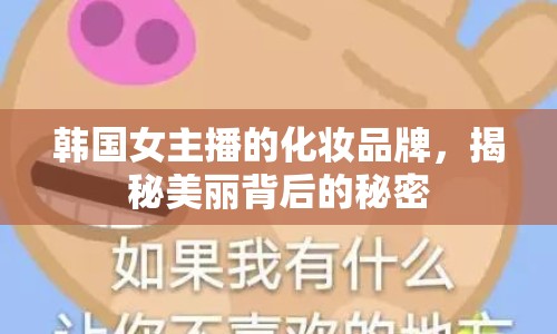 韓國女主播的化妝品牌，揭秘美麗背后的秘密