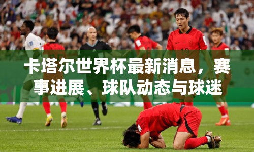 卡塔爾世界杯最新消息，賽事進展、球隊動態(tài)與球迷期待