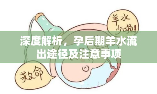 深度解析，孕后期羊水流出途徑及注意事項