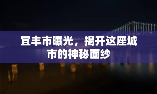 宜豐市曝光，揭開這座城市的神秘面紗