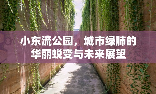 小東流公園，城市綠肺的華麗蛻變與未來展望