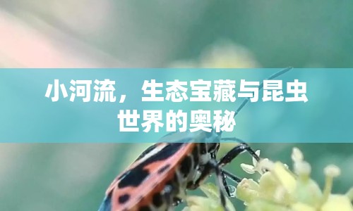 小河流，生態(tài)寶藏與昆蟲世界的奧秘