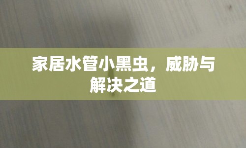 家居水管小黑蟲，威脅與解決之道