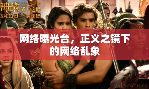 網(wǎng)絡(luò)曝光臺(tái)，正義之鏡下的網(wǎng)絡(luò)亂象