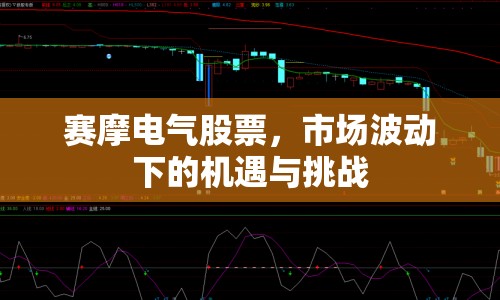 賽摩電氣股票，市場波動下的機遇與挑戰(zhàn)