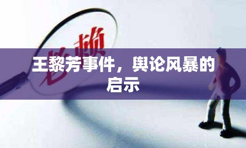 王黎芳事件，輿論風(fēng)暴的啟示