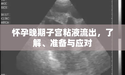 懷孕晚期子宮粘液流出，了解、準(zhǔn)備與應(yīng)對