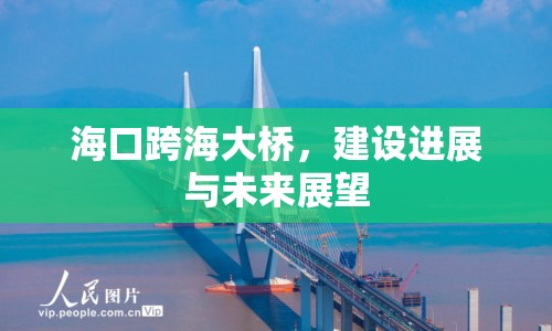 ?？诳绾４髽?，建設進展與未來展望