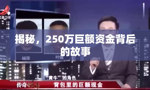 揭秘，250萬巨額資金背后的故事