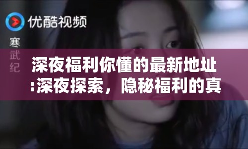 深夜福利你懂的最新地址:深夜探索，隱秘福利的真相與風(fēng)險(xiǎn)