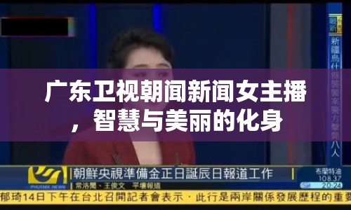 廣東衛(wèi)視朝聞新聞女主播，智慧與美麗的化身