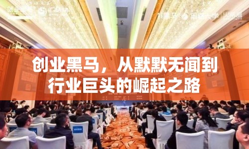 創(chuàng)業(yè)黑馬，從默默無聞到行業(yè)巨頭的崛起之路