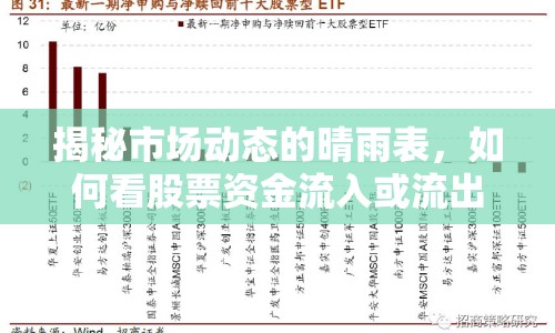 揭秘市場動態(tài)的晴雨表，如何看股票資金流入或流出