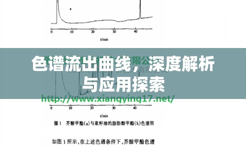 色譜流出曲線，深度解析與應(yīng)用探索
