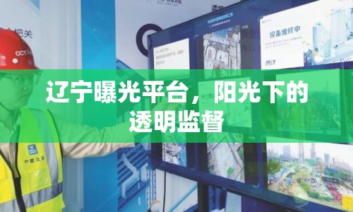 遼寧曝光平臺，陽光下的透明監(jiān)督