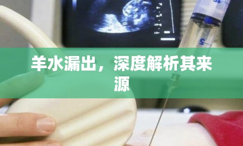 羊水漏出，深度解析其來(lái)源