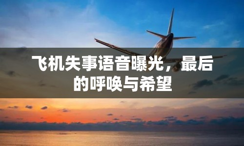 飛機(jī)失事語音曝光，最后的呼喚與希望