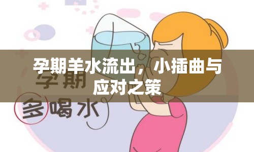 孕期羊水流出，小插曲與應(yīng)對(duì)之策