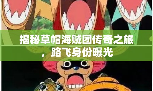 揭秘草帽海賊團傳奇之旅，路飛身份曝光