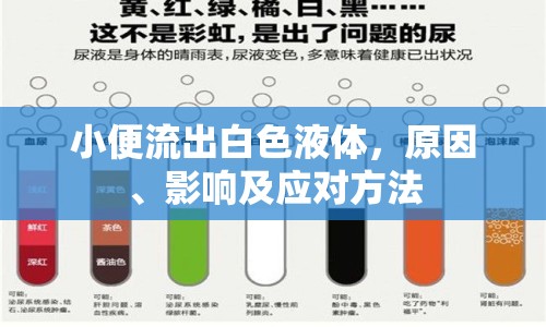 小便流出白色液體，原因、影響及應(yīng)對(duì)方法