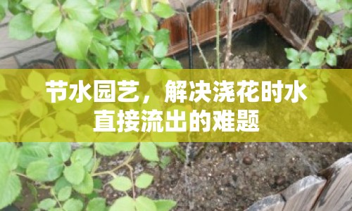 節(jié)水園藝，解決澆花時水直接流出的難題