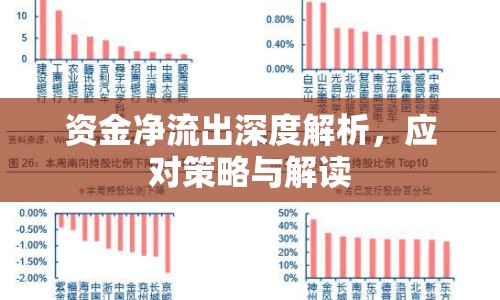 資金凈流出深度解析，應(yīng)對(duì)策略與解讀