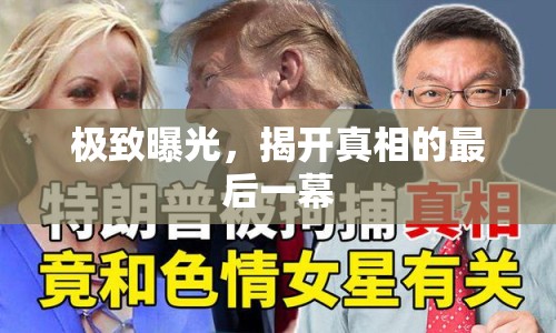 極致曝光，揭開真相的最后一幕