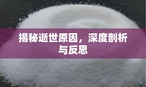 揭秘逝世原因，深度剖析與反思