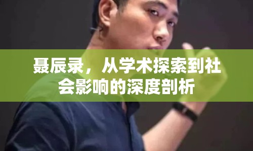 聶辰錄，從學(xué)術(shù)探索到社會影響的深度剖析