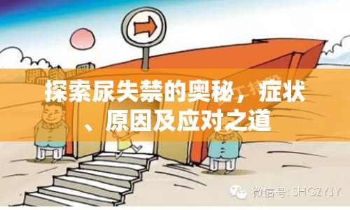 探索尿失禁的奧秘，癥狀、原因及應(yīng)對(duì)之道