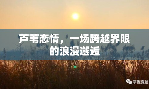 蘆葦戀情，一場跨越界限的浪漫邂逅