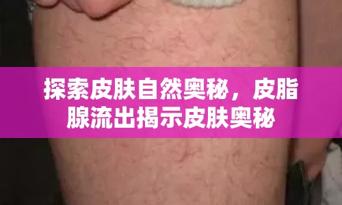 探索皮膚自然奧秘，皮脂腺流出揭示皮膚奧秘