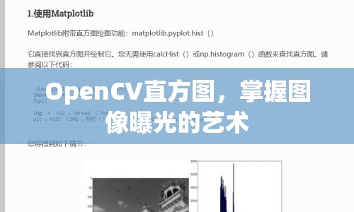OpenCV直方圖，掌握?qǐng)D像曝光的藝術(shù)