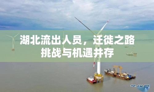 湖北流出人員，遷徙之路挑戰(zhàn)與機(jī)遇并存