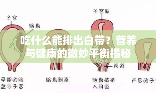吃什么能排出白帶？營養(yǎng)與健康的微妙平衡揭秘
