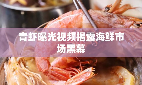 青蝦曝光視頻揭露海鮮市場黑幕