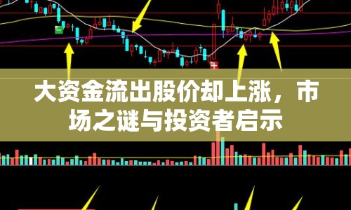 大資金流出股價(jià)卻上漲，市場之謎與投資者啟示