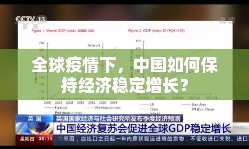 全球疫情下，中國如何保持經(jīng)濟(jì)穩(wěn)定增長？