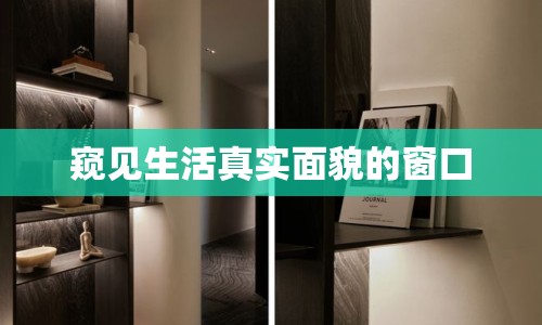 窺見生活真實(shí)面貌的窗口