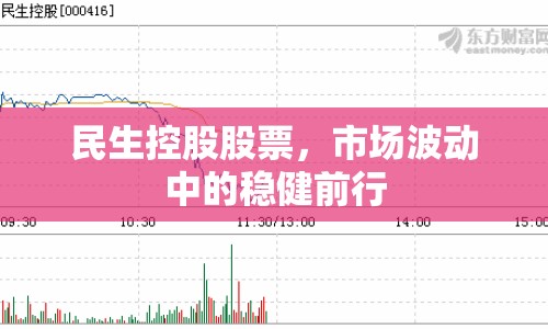 民生控股股票，市場(chǎng)波動(dòng)中的穩(wěn)健前行
