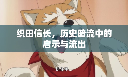 織田信長(zhǎng)，歷史暗流中的啟示與流出