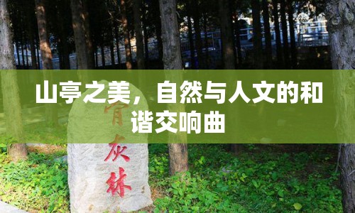 山亭之美，自然與人文的和諧交響曲
