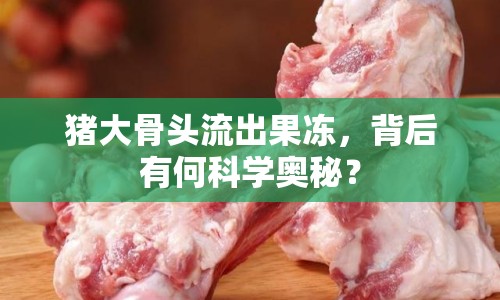 豬大骨頭流出果凍，背后有何科學(xué)奧秘？