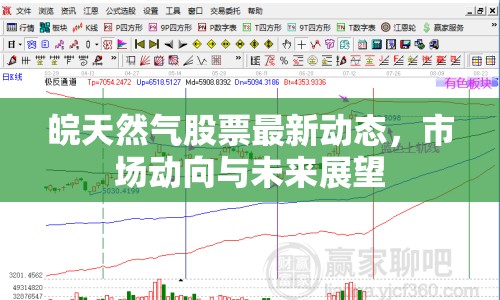 皖天然氣股票最新動態(tài)，市場動向與未來展望