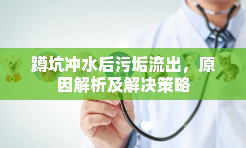 蹲坑沖水后污垢流出，原因解析及解決策略