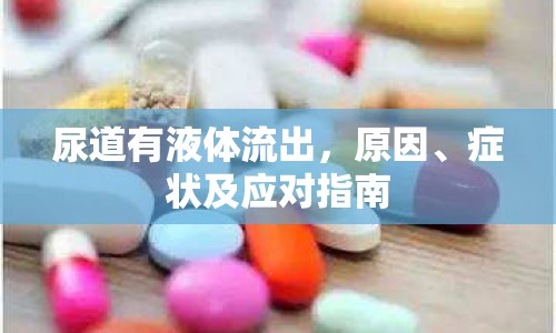 尿道有液體流出，原因、癥狀及應(yīng)對指南