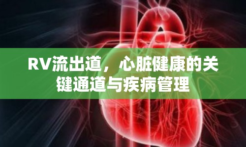 RV流出道，心臟健康的關(guān)鍵通道與疾病管理