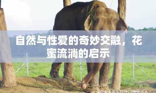 自然與性愛的奇妙交融，花蜜流淌的啟示