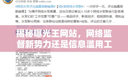 揭秘曝光王網(wǎng)站，網(wǎng)絡(luò)監(jiān)督新勢(shì)力還是信息濫用工具？