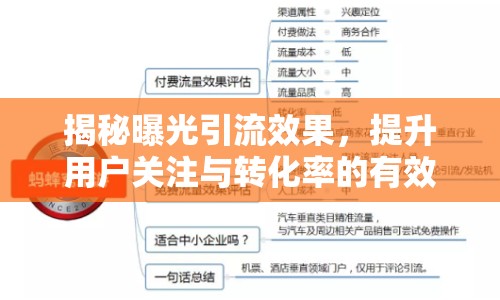 揭秘曝光引流效果，提升用戶關(guān)注與轉(zhuǎn)化率的有效策略